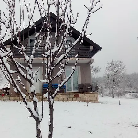 Nikola House *